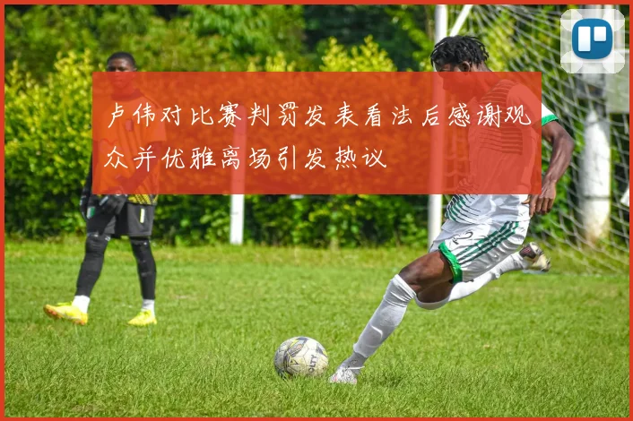 卢伟对比赛判罚发表看法后感谢观众并优雅离场引发热议